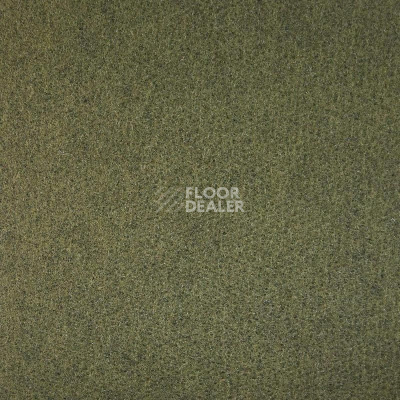 Ковролин Tapisom 600 Green - 600 416002009 00027 фото 1 | FLOORDEALER